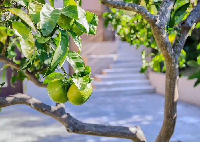 Maruge By Guide Pula